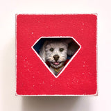 Krypto | PEEK - Lottery Entry