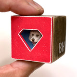 Krypto | PEEK - Lottery Entry
