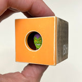 Goblin | PEEK - Lottery Entry