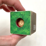 Lion | PEEK - Lottery Entry