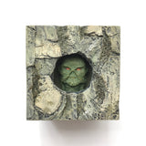 Swamp Thing | PEEK - Lottery